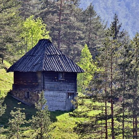 Sedmica Zlatibor VIP Bogić Exterior foto