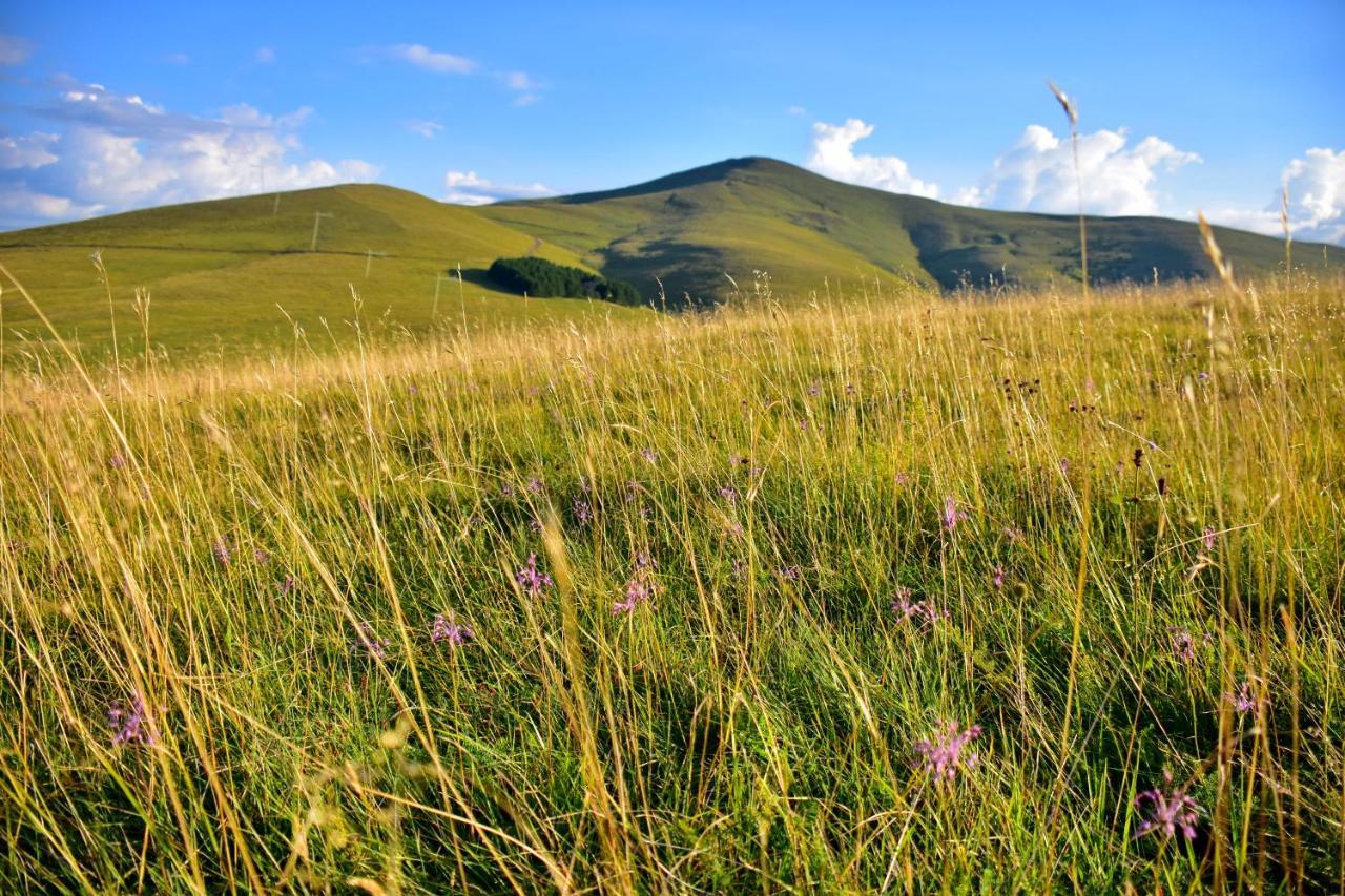 Sedmica Zlatibor VIP Bogić Exterior foto