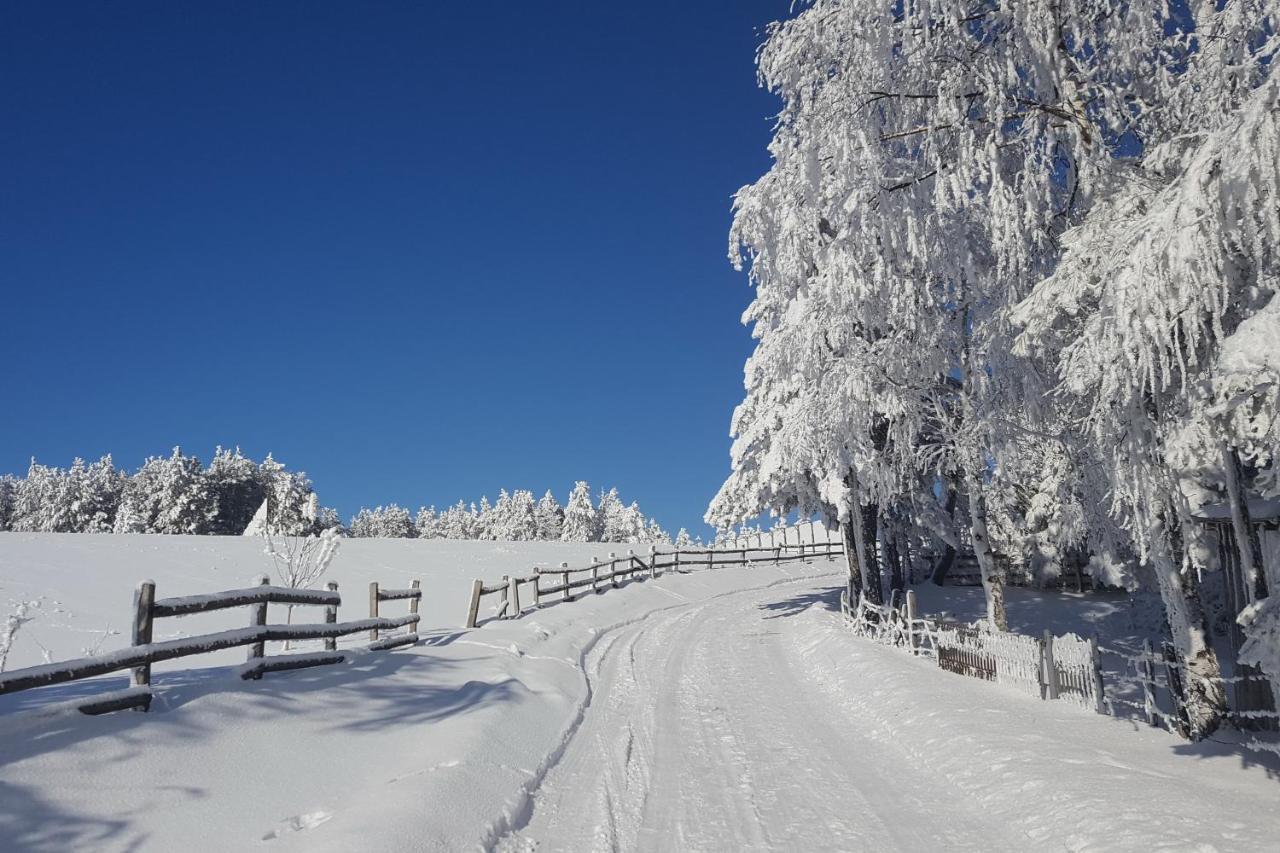 Sedmica Zlatibor VIP Bogić Exterior foto