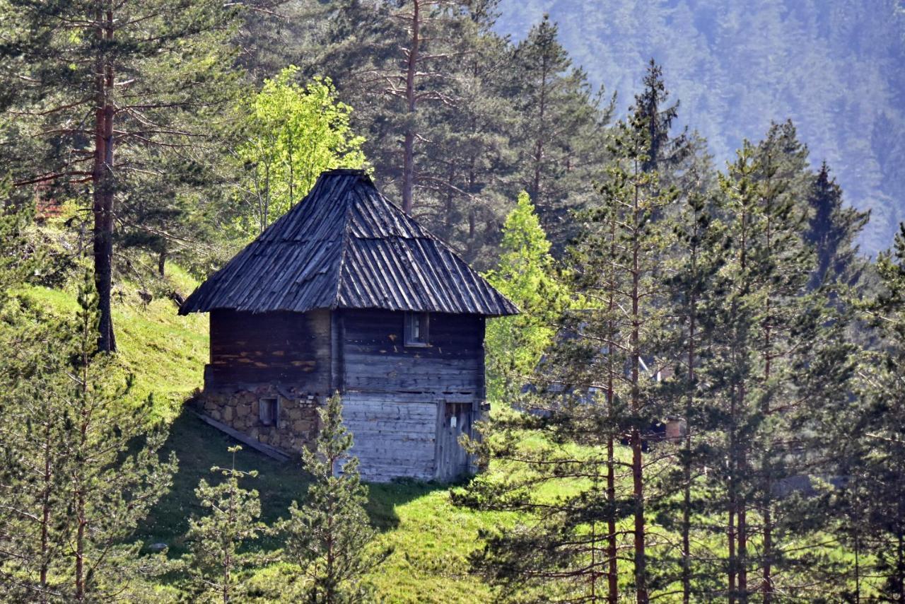 Sedmica Zlatibor VIP Bogić Exterior foto