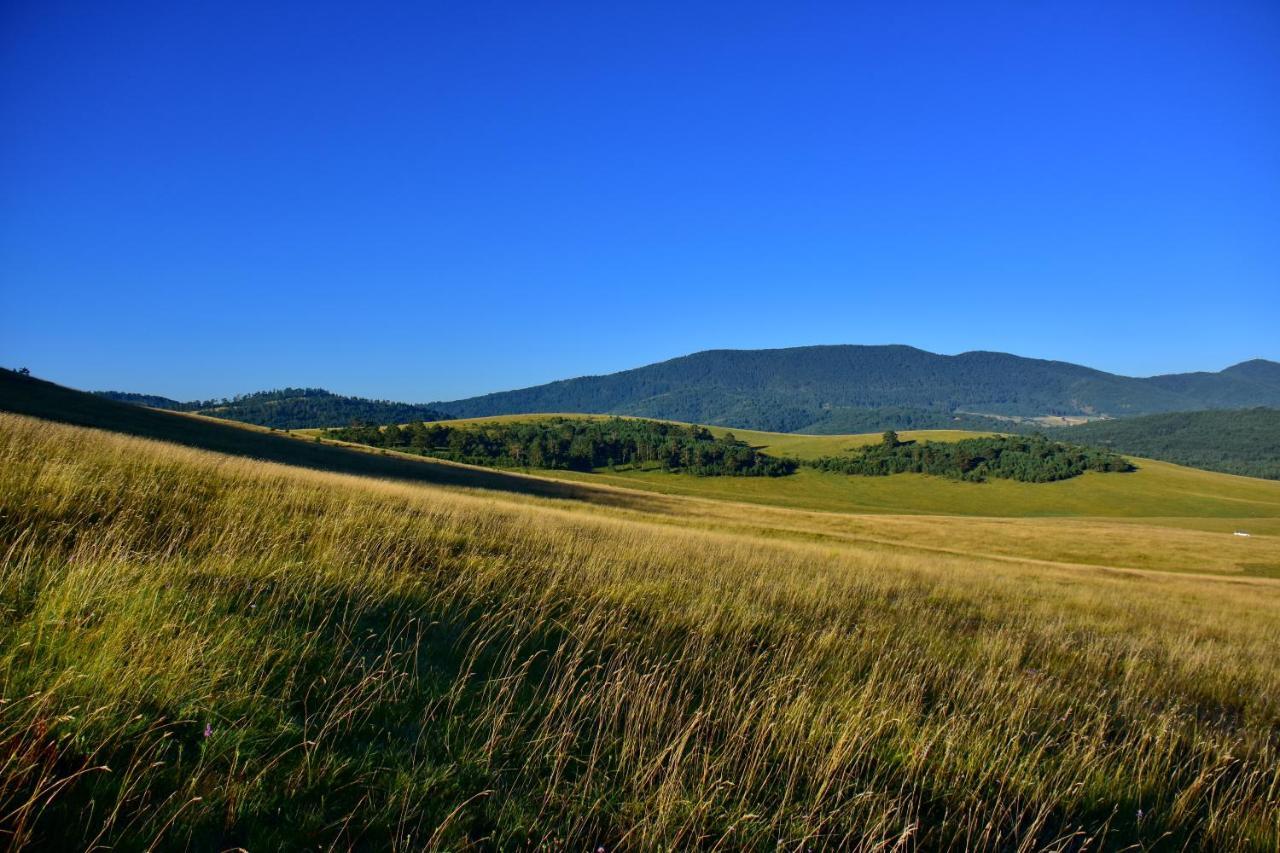 Sedmica Zlatibor VIP Bogić Exterior foto